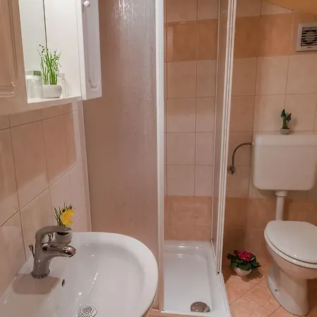 Guest house Danilo-hisa Primc 2*